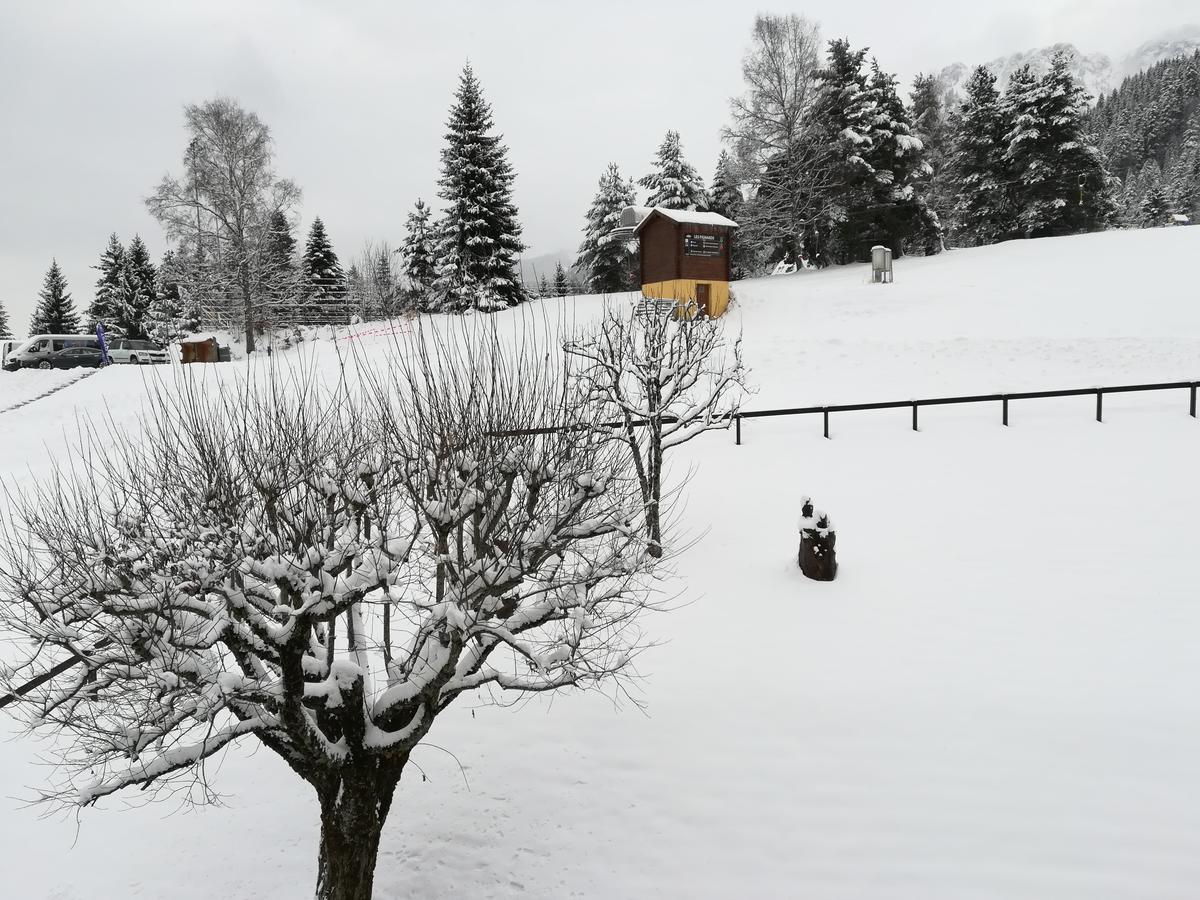 Romantic Chalet-Style Flat With Mountain View Torgon Esterno foto